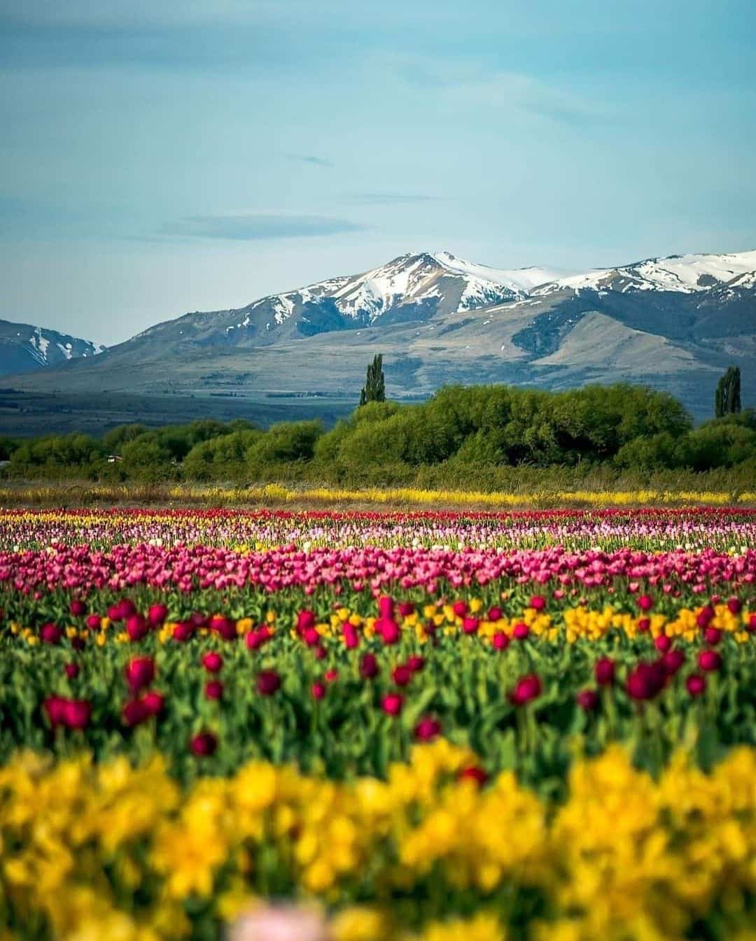 Paisaje de Chubut, Argentina