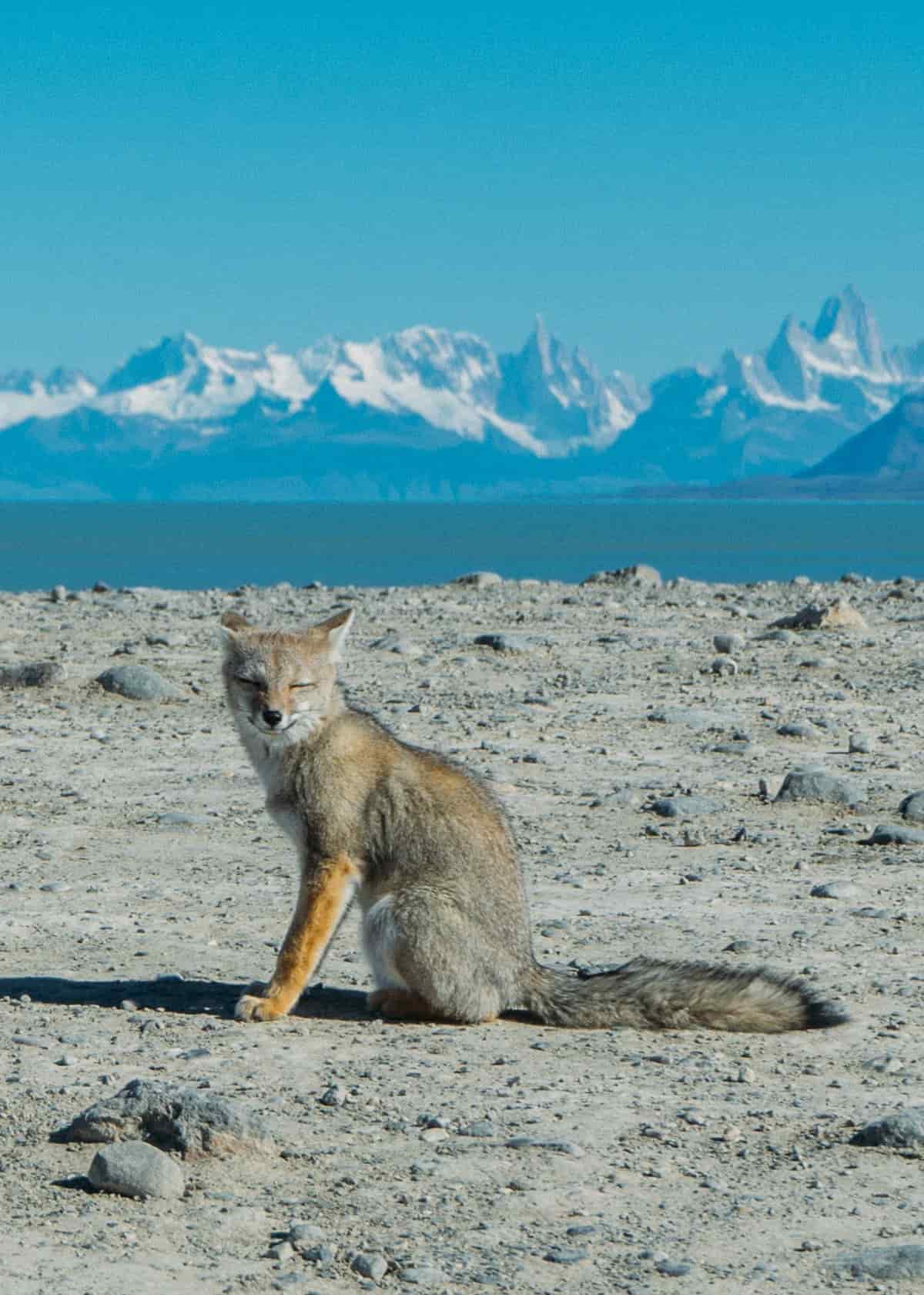 Paisaje de El Calafate, Argentina