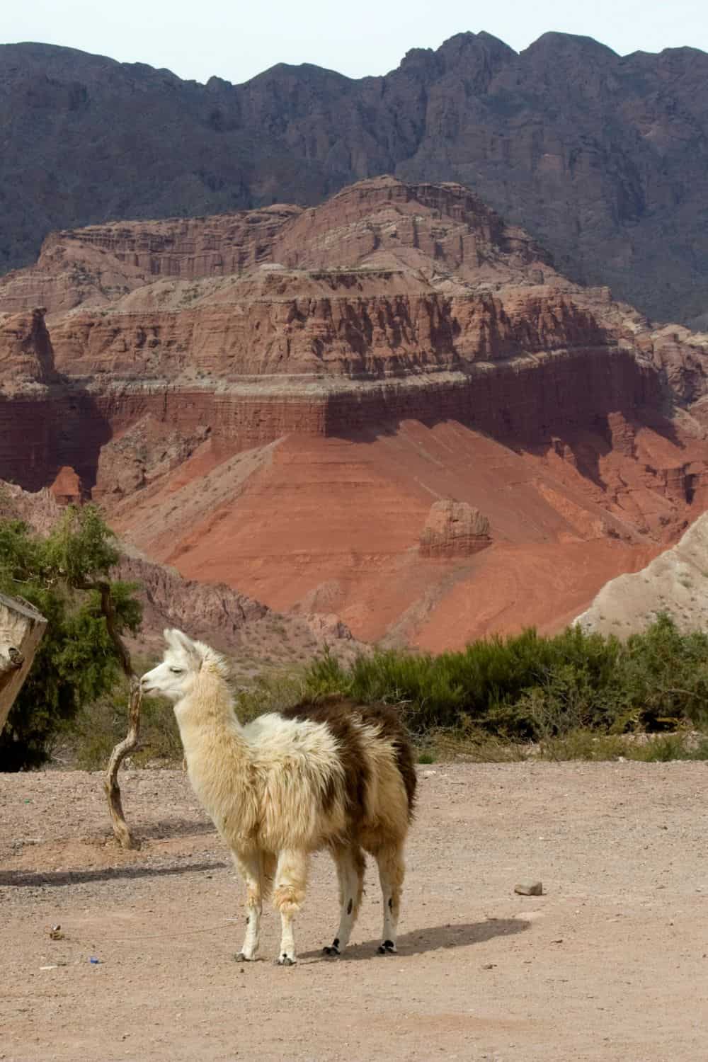 Paisaje de Salta, Argentina